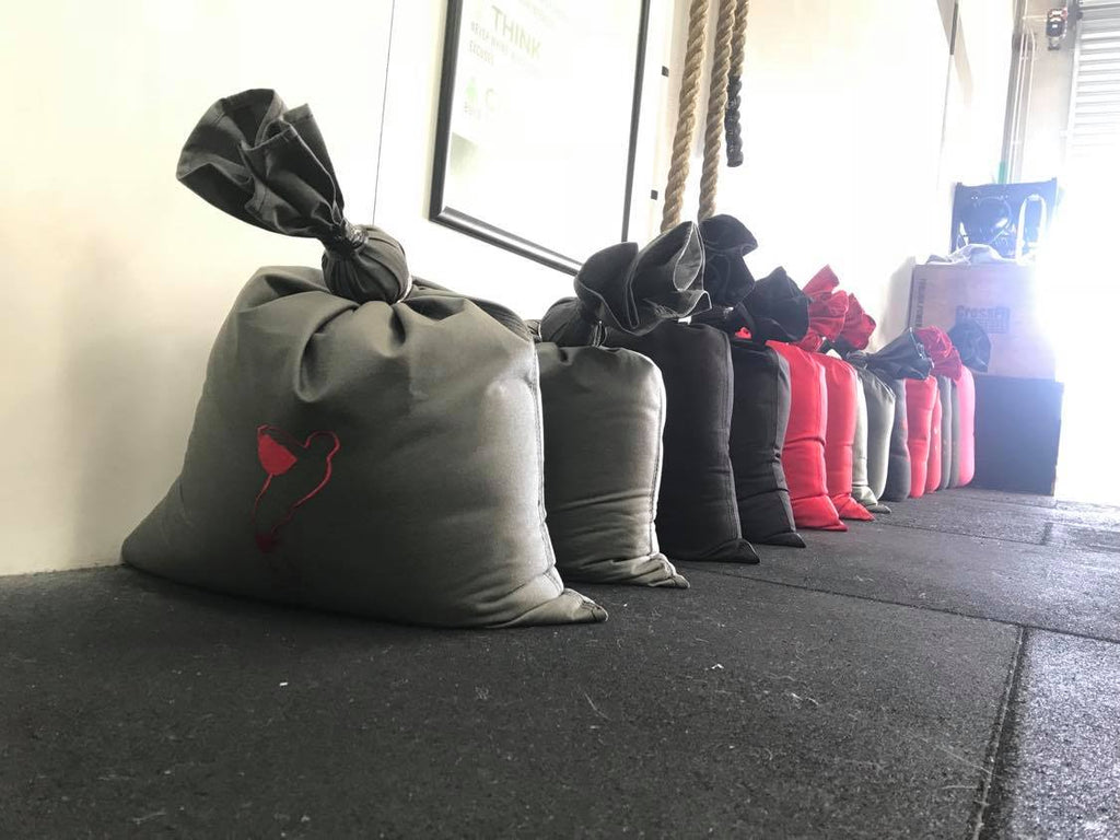 36kg (80lb) Sandbag